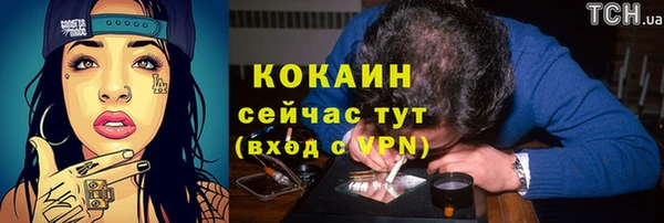 шишки Белокуриха
