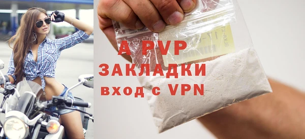 шишки Белокуриха