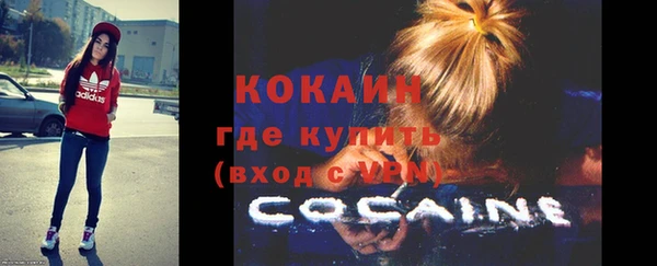 шишки Белокуриха