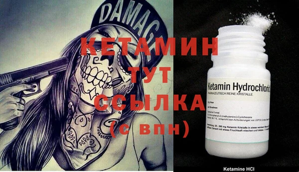шишки Белокуриха