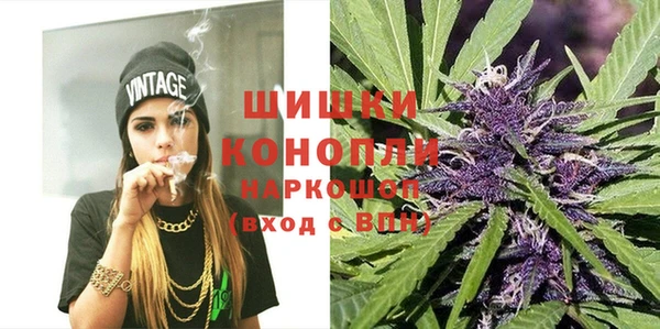 PSILOCYBIN Беломорск
