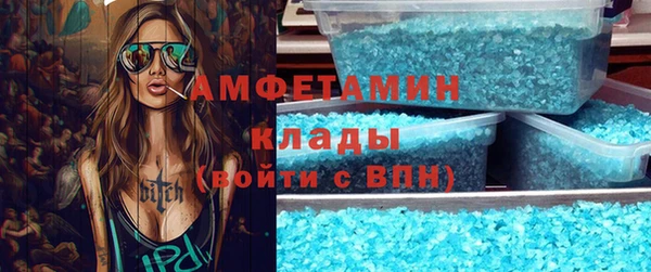 шишки Белокуриха