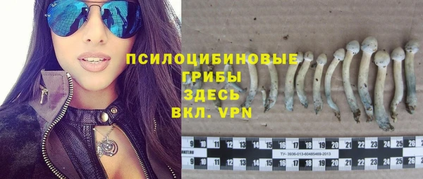 шишки Белокуриха