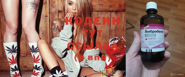 шишки Белокуриха
